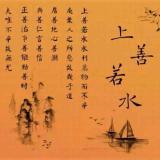书友68309