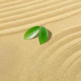 琉璃幻境