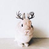 久伴 伴 久伴