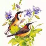 抗龙有悔