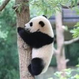 词文解意
