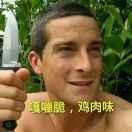 喔系渣渣灰