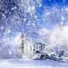 冰天雪地