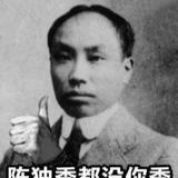 野生大熊猫