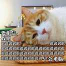 .流光飞逝