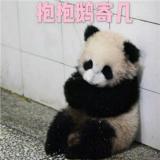 默然无声