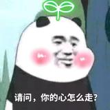 权三岁