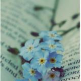 【暖夏☆如歌】