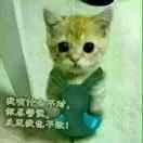 混乱之人浑逍遥