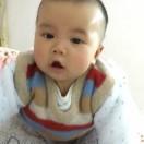 书友31272