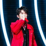 猪也可以很聪明