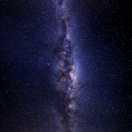 秃驴敢跟贫道抢师太！