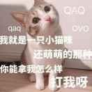 萤草ssssr