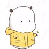 只吃咸鱼的猫