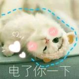 总有刁民想害朕