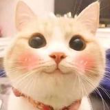 勿忘初心