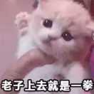 似曾相识梦一场