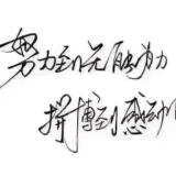 时光落叶
