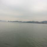 喵小琳