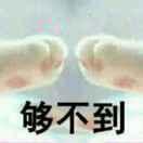 书友29421