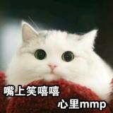 书友37341