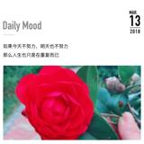 薇薇