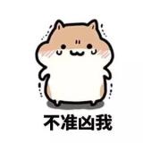小里里里呀