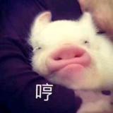 嘿嘿
