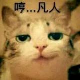 菠菜尼奥
