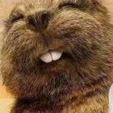 八亿零欧冠瓜不群