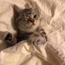 너 가방nจุ๊บ