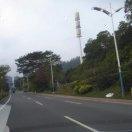 笑看风云-一网情深