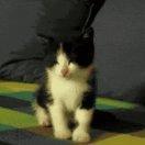 一步之遥遥不可及