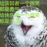 书友17497
