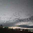 三千青丝惹寒霜