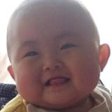 老书迷林子
