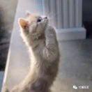 岁月洗净了尘埃