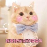 潘哆啦二梦