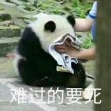 我内心是崩溃的