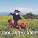 佩佩