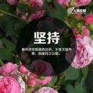 书友03304
