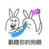 ☀小毒☀