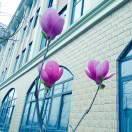 原以为你会陪我很久，很久