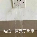 森弥