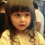 抱着木头的肥猫