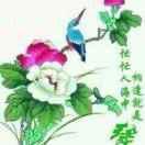 @小龙龙