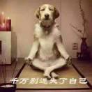 不问苍生问鬼神