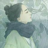 扰清歌