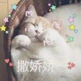 一叶飞絮