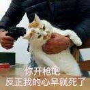 你許的甜轉瞬即